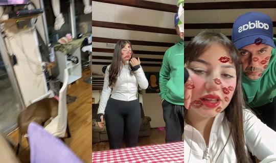 ro_chiio Saved on Apr 26, 2026, 3:22 AM