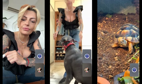 annassin_tattoo's Live Session — May 21, 2026, 6:36 AM