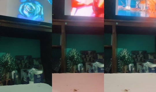 maribel.flores1619's Live Session — May 20, 2026, 3:19 AM