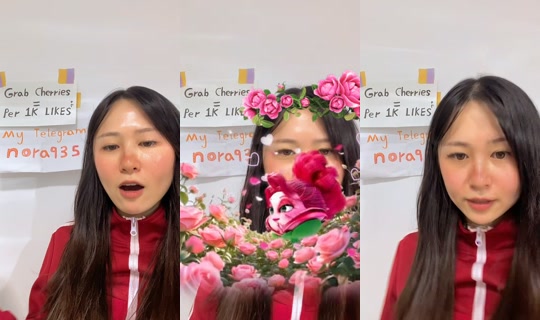 user34728750666265's Live Session — Jun 26, 2026, 12:31 PM