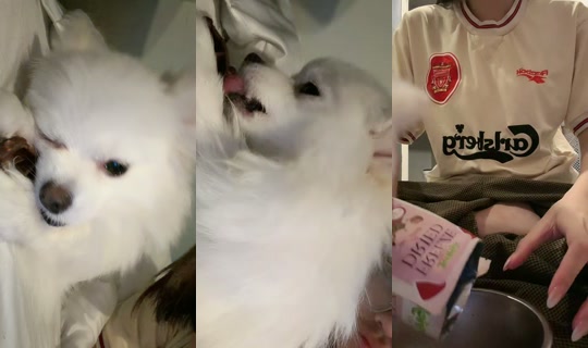 170_cm03's Live Session — Jun 30, 2026, 9:26 PM