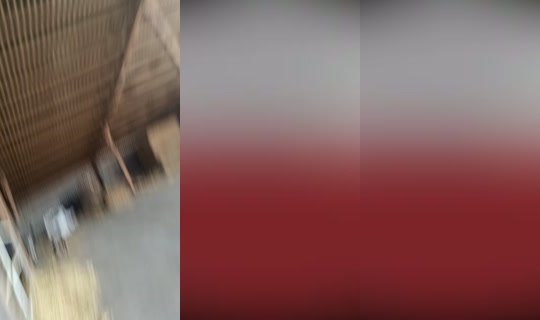 botgracjan's Live Session — Jun 28, 2026, 3:42 PM