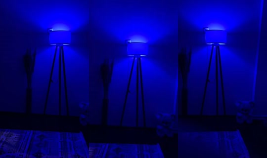 elif_bal81's Live Session — May 30, 2026, 12:18 AM