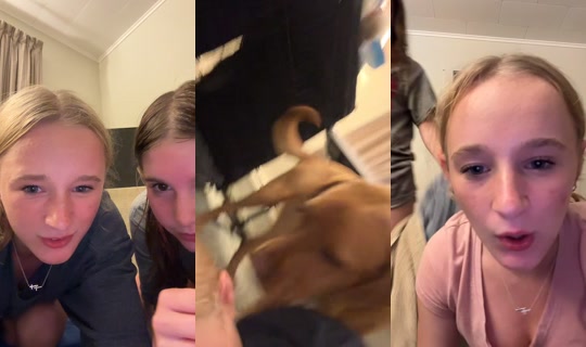 hyperpigmenpeyton692's Live Session — Jun 28, 2026, 3:18 AM