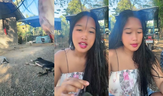 jonnarosetaguiam's Live Session — May 24, 2026, 10:49 PM