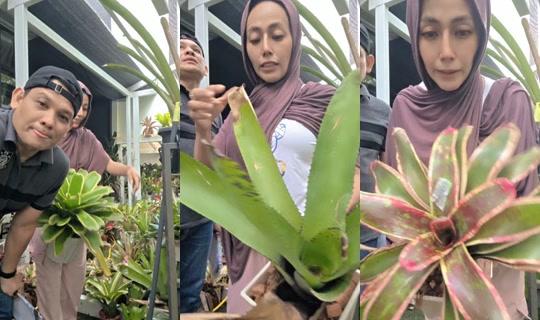 lanabakeryland's Live Session — May 23, 2026, 9:05 AM