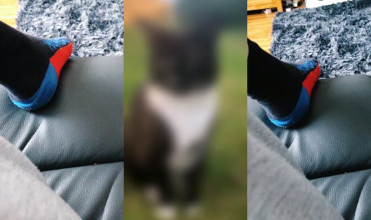 pookiebear634's Live Session — Jun 30, 2026, 6:09 PM