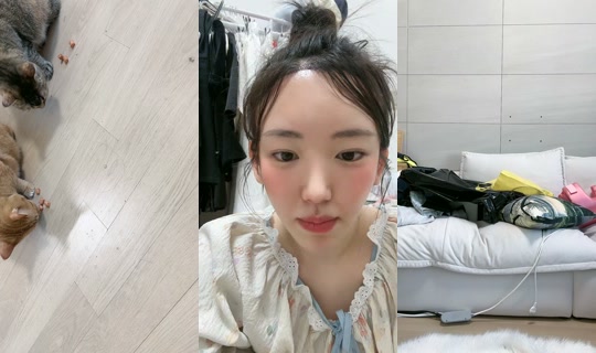 ungdung.e's Live Session — May 30, 2026, 9:19 AM