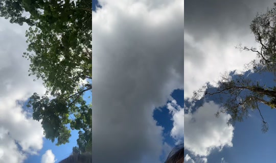 veinxyy's Live Session — Jun 29, 2026, 9:01 AM