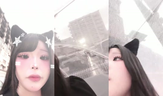 _pllmy3's Live Session — Jul 5, 2026, 9:12 AM