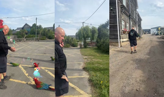 ant4w's Live Session — Jul 7, 2026, 8:28 AM