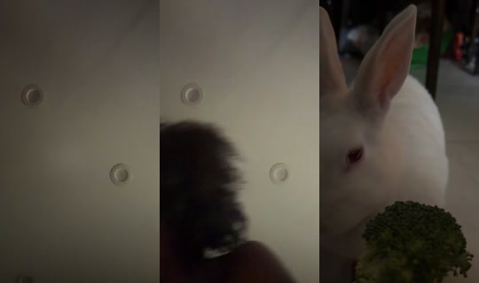 bagggbaby's Live Session — Jul 5, 2026, 1:07 PM