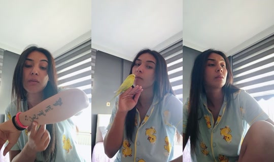 dilaaa.diyorum43's Live Session — Jul 6, 2026, 2:46 PM