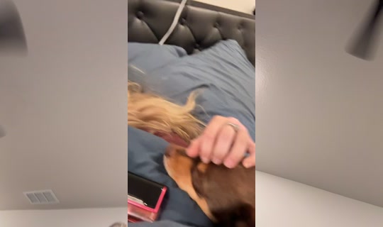 hannagator2's Live Session — Jul 6, 2026, 3:37 PM