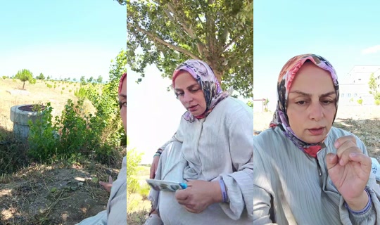 havva_yedek's Live Session — Jul 6, 2026, 11:36 AM