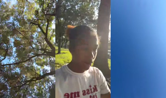 haze2geeked's Live Session — Jul 6, 2026, 12:55 PM