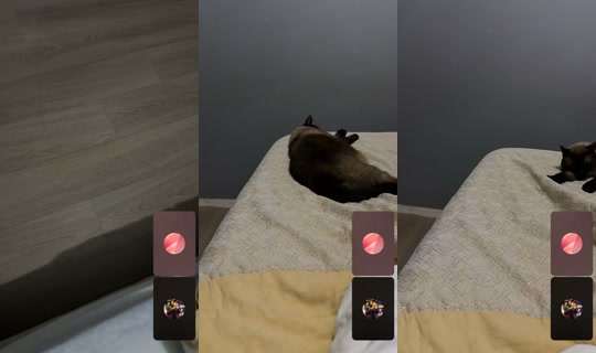 heja3anabia's Live Session — Jul 6, 2026, 2:05 AM