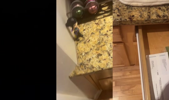 kaceyalvarezzzz's Live Session — Jun 3, 2026, 10:27 PM