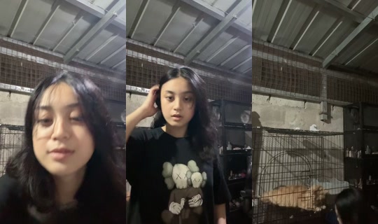 miiicasaaa's Live Session — Jul 7, 2026, 12:45 PM