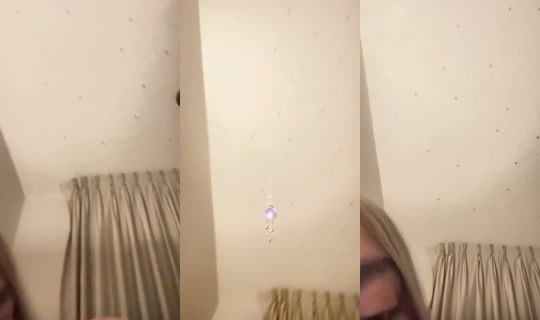 milaaa.guzman's Live Session — Jul 7, 2026, 6:53 AM