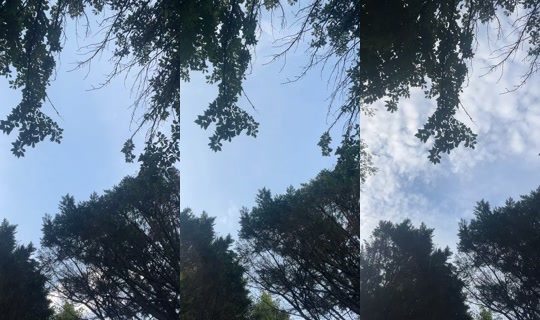 missymae567's Live Session — Jul 6, 2026, 11:26 AM