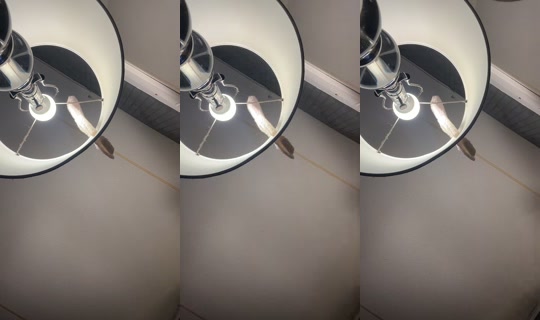 missymae567's Live Session — Jul 7, 2026, 1:35 AM