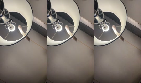 missymae567's Live Session — Jul 7, 2026, 2:29 AM