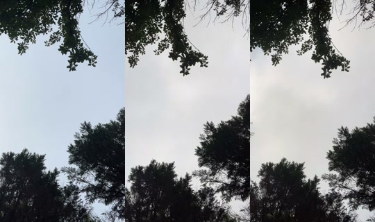 missymae567's Live Session — Jul 7, 2026, 12:38 PM