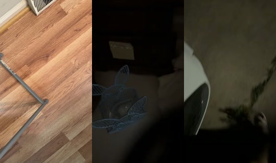 momma4488's Live Session — Jul 6, 2026, 1:38 AM