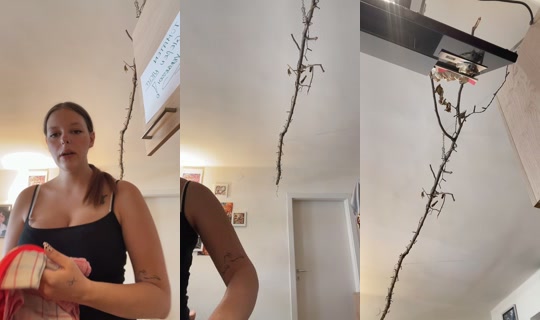 ms.shark.hellcat's Live Session — Jul 7, 2026, 8:52 AM