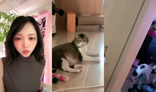pimazin927's Live Session — Jul 7, 2026, 8:05 AM