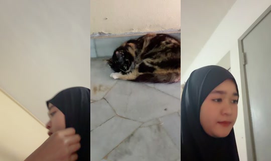 pompey.__'s Live Session — Jul 7, 2026, 3:02 AM