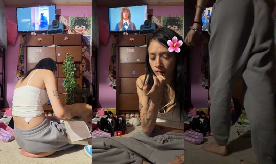 sh3haunts__xvii's Live Session — Jul 7, 2026, 1:02 AM