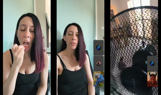 sooo_phiiiieee's Live Session — Jul 7, 2026, 9:56 AM