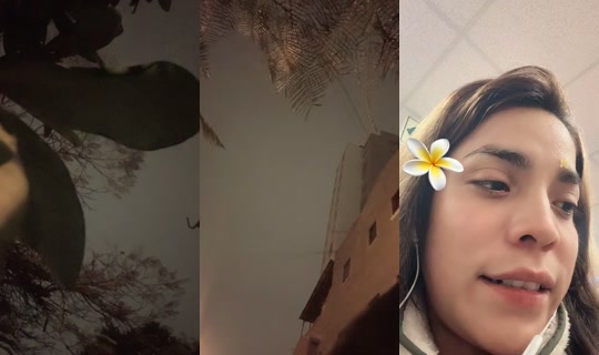 starlives.com's Live Session — Jul 7, 2026, 6:35 AM