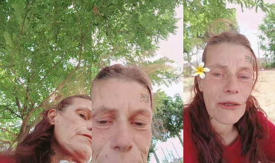 taschaluna0's Live Session — Jul 7, 2026, 12:19 PM