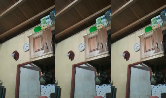 viaamonoarfa's Live Session — Jul 6, 2026, 12:24 PM