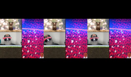 willycolina6's Live Session — Jul 7, 2026, 12:49 AM