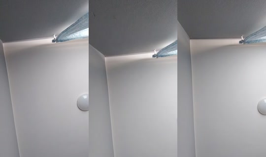 kingspartacuslive's Live Session — Jun 7, 2026, 7:31 AM