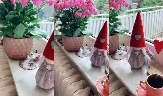 nuni.1223's Live Session — Jun 12, 2026, 5:51 AM