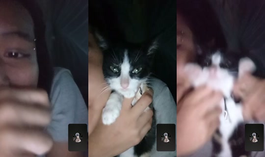 _sin_contexto_uwu's Live Session — Jul 8, 2026, 2:57 AM