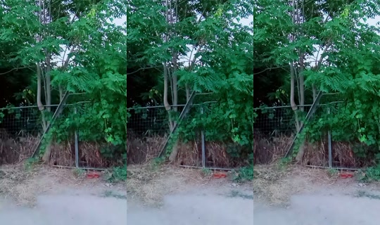carmenionela861's Live Session — Jul 7, 2026, 6:03 PM