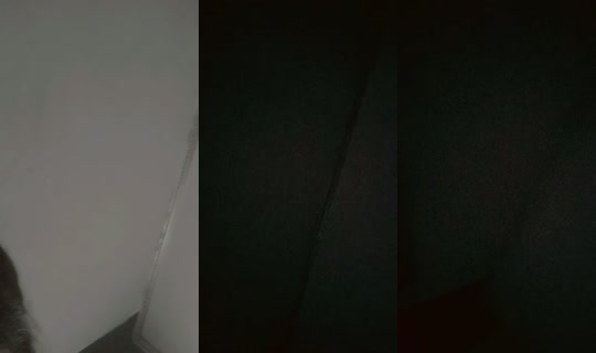 hgy6ufrr4lo952hiutyo's Live Session — Jul 10, 2026, 3:25 PM