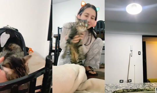 lucia.steffazi's Live Session — Jul 8, 2026, 1:27 AM