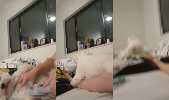 maayan.ben.asher2's Live Session — Jul 7, 2026, 7:27 PM