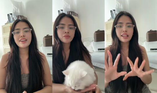 nanashiie's Live Session — Jul 8, 2026, 7:09 AM