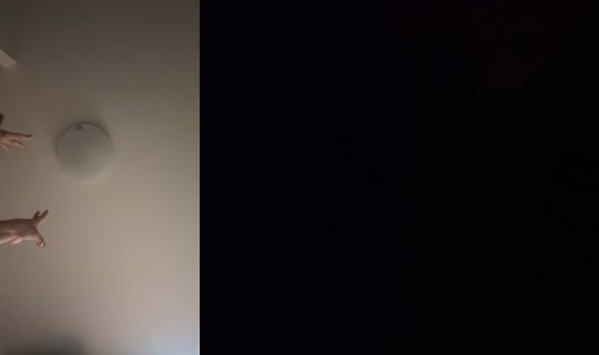 negitorodonjagarico's Live Session — Jul 7, 2026, 5:22 PM
