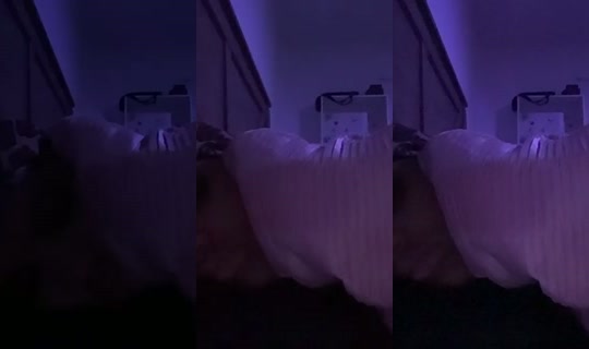 liyakapri's Live Session — Jul 7, 2026, 2:33 AM