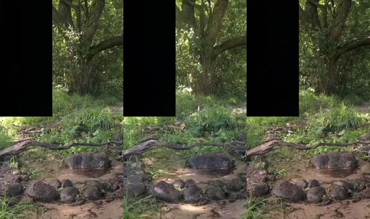 lyndi's Live Session — Jul 7, 2026, 8:53 AM