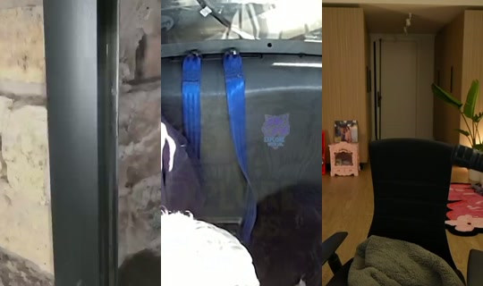 sakurashymko's Live Session — Jul 6, 2026, 11:16 PM